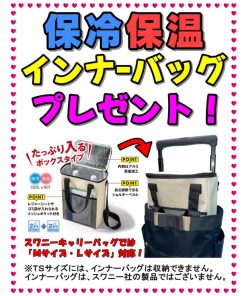 SWANY（キャリーバック） スワニー キャリーバッグ SWANY D-593 パトロII L21サイズ （２カラー設定）　４輪(低騒音・低振動)キャスター ストッパー付 キャリーケース 旅行バッグ